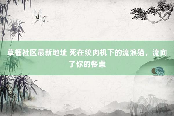   草榴社区最新地址 死在绞肉机下的流浪猫，流向了你的餐桌