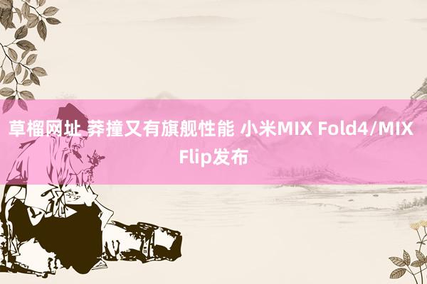   草榴网址 莽撞又有旗舰性能 小米MIX Fold4/MIX Flip发布