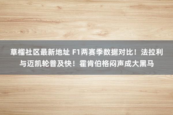 草榴社区最新地址 F1两赛季数据对比！法拉利与迈凯轮普及快！霍肯伯格闷声成大黑马
