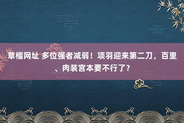 草榴网址 多位强者减弱！项羽迎来第二刀，百里、肉装宫本要不行了？