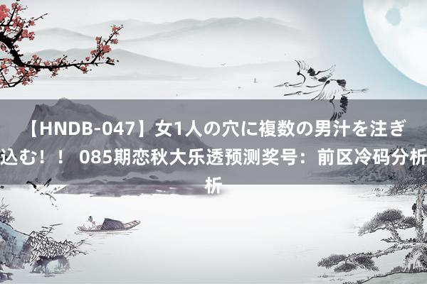 【HNDB-047】女1人の穴に複数の男汁を注ぎ込む！！ 085期恋秋大乐透预测奖号：前区冷码分析