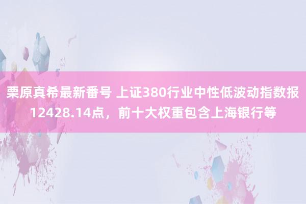 栗原真希最新番号 上证380行业中性低波动指数报12428.14点，前十大权重包含上海银行等