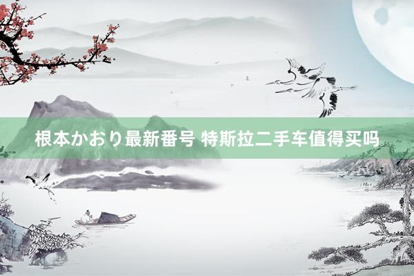 根本かおり最新番号 特斯拉二手车值得买吗