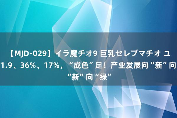   【MJD-029】イラ魔チオ9 巨乳セレブマチオ ユリア 1.9、36%、17%，“成色”足！产业发展向“新”向“绿”