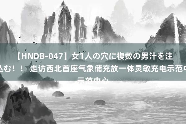   【HNDB-047】女1人の穴に複数の男汁を注ぎ込む！！ 走访西北首座气象储充放一体灵敏充电示范中心