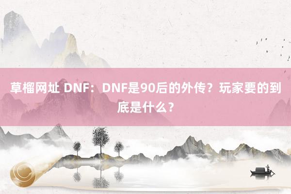   草榴网址 DNF：DNF是90后的外传？玩家要的到底是什么？