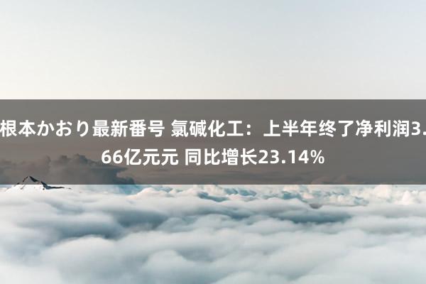   根本かおり最新番号 氯碱化工：上半年终了净利润3.66亿元元 同比增长23.14%