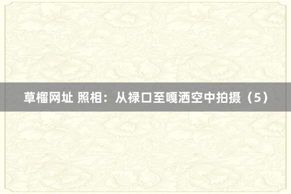 草榴网址 照相：从禄口至嘎洒空中拍摄（5）