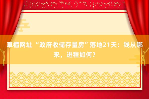   草榴网址 “政府收储存量房”落地21天：钱从哪来，进程如何？