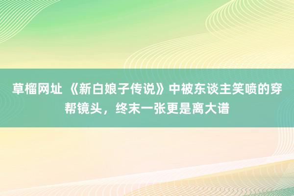   草榴网址 《新白娘子传说》中被东谈主笑喷的穿帮镜头，终末一张更是离大谱