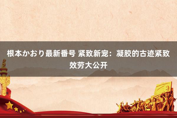   根本かおり最新番号 紧致新宠：凝胶的古迹紧致效劳大公开