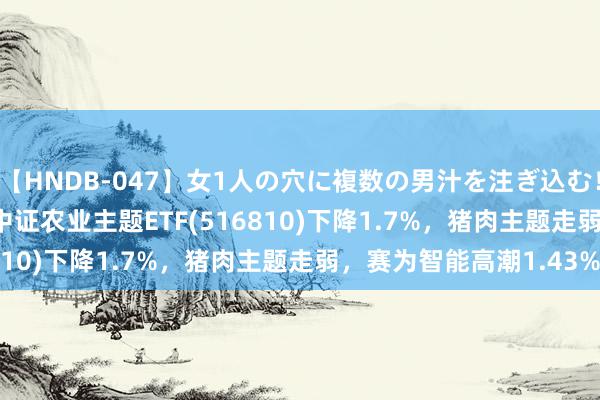 【HNDB-047】女1人の穴に複数の男汁を注ぎ込む！！ ETF最前哨 | 中原中证农业主题ETF(516810)下降1.7%，猪肉主题走弱，赛为智能高潮1.43%