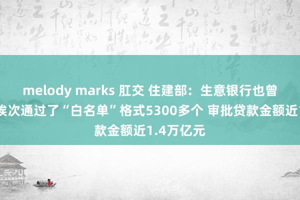   melody marks 肛交 住建部：生意银行也曾按照审批挨次通过了“白名单”格式5300多个 审批贷款金额近1.4万亿元