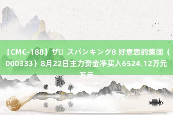   【CMC-188】ザ・スパンキング8 好意思的集团（000333）8月22日主力资金净买入6524.12万元