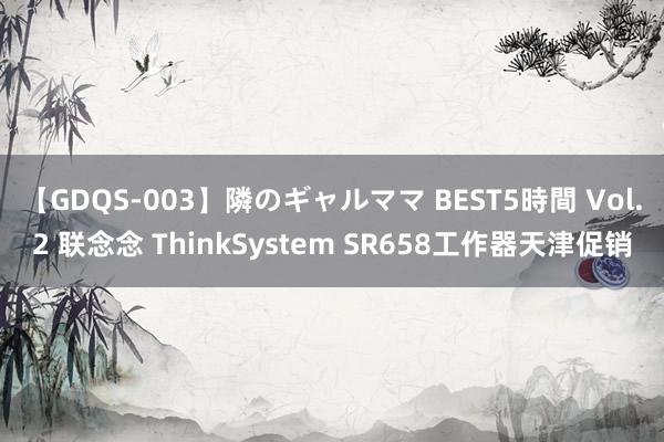   【GDQS-003】隣のギャルママ BEST5時間 Vol.2 联念念 ThinkSystem SR658工作器天津促销