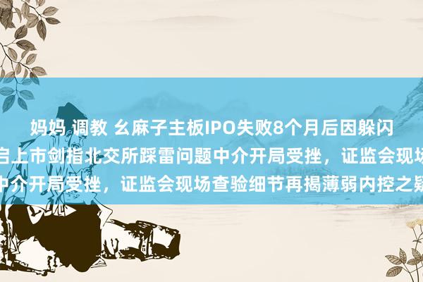 妈妈 调教 幺麻子主板IPO失败8个月后因躲闪关联方信息遭罚背后：重启上市剑指北交所踩雷问题中介开局受挫，证监会现场查验细节再揭薄弱内控之疑