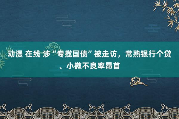   动漫 在线 涉“专揽国债”被走访，常熟银行个贷、小微不良率昂首